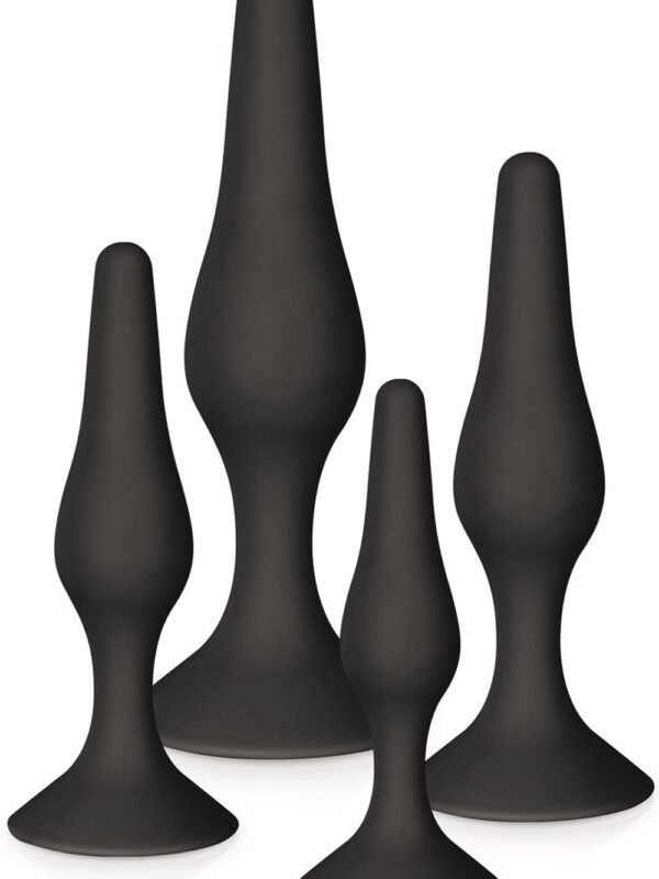 Coffret 4 plugs anaux noirs