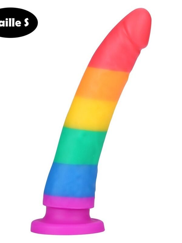 Petit gode ventouse multicolore