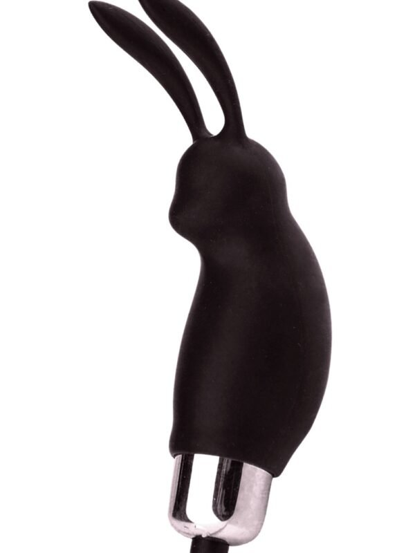 Petit stimulateur de clitoris lapin noir