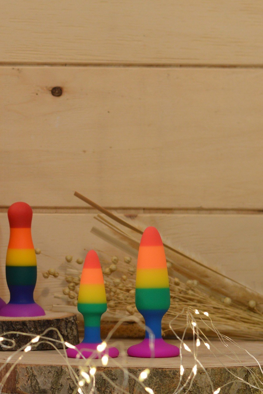 Plug anal multicolore taille S