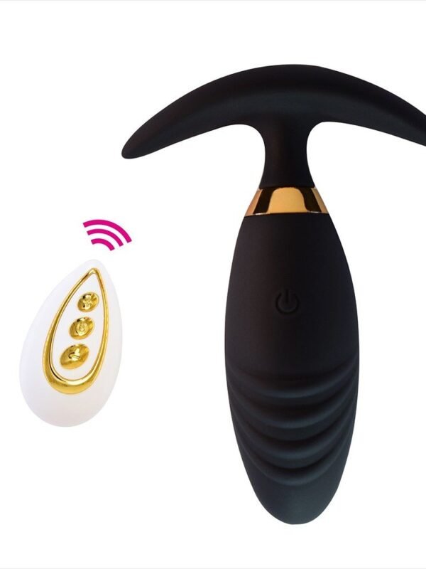 Plug anal vibrant avec télécommande