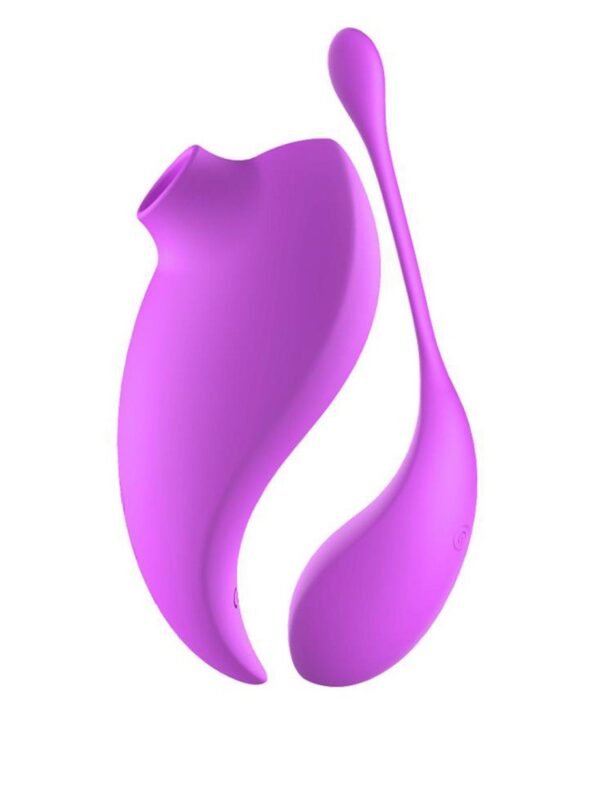 Stimulateur clitoridien et œuf vibrant violet