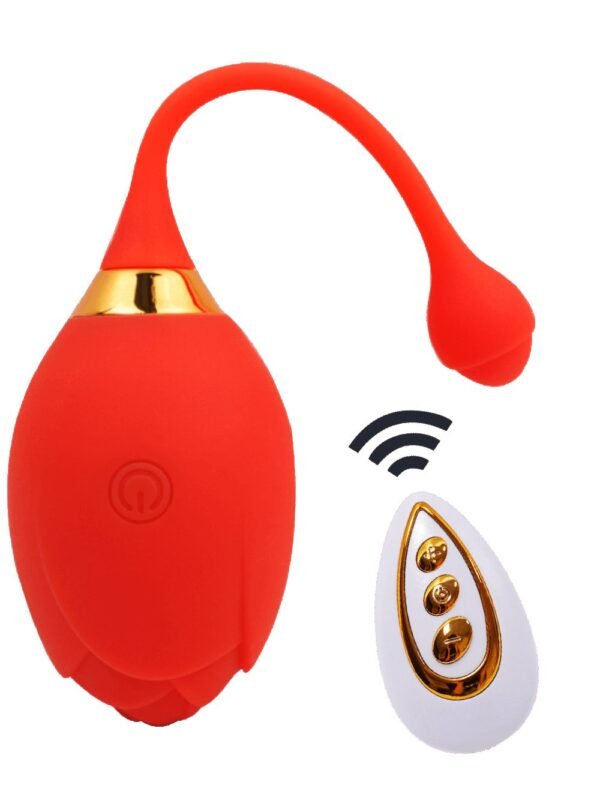 Œuf vibrant télécommandé 10 modes